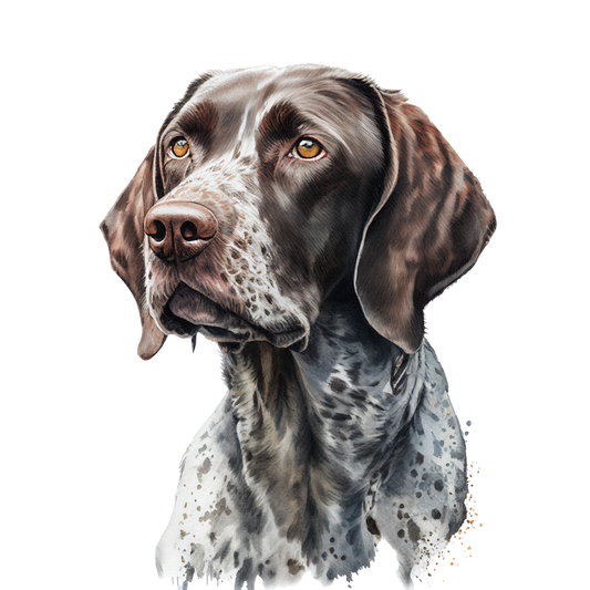 German Shorthair-1