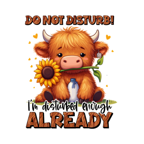 ($12T) Do Not Disturb