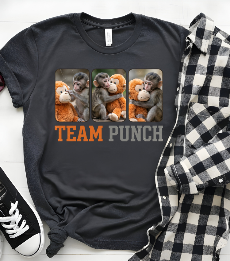 Team Punch