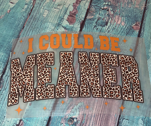 I Could Be Meaner