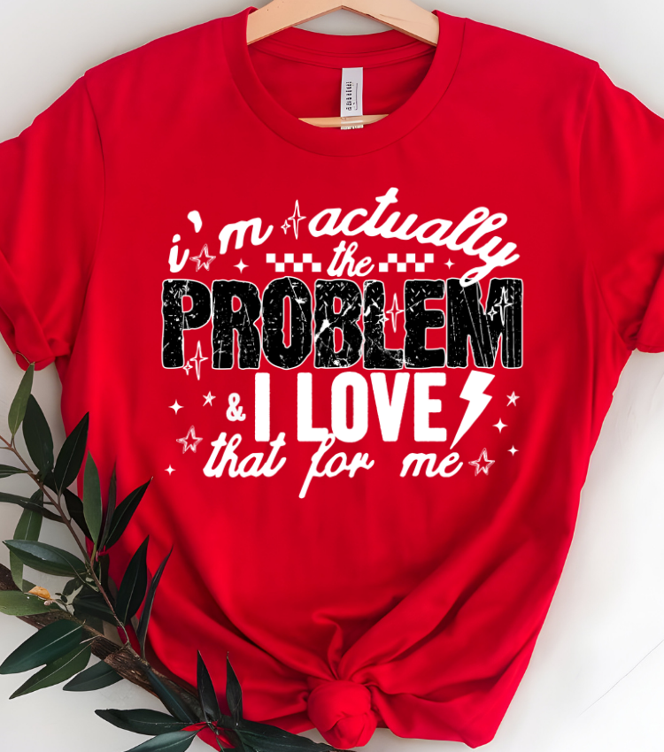 I'm Actually The Problem Reverse