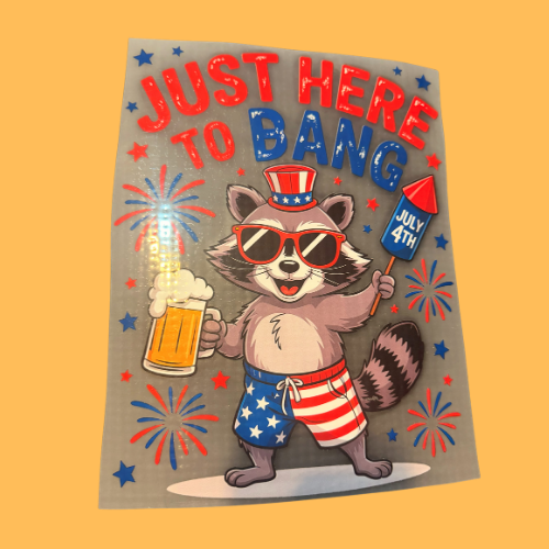 ($12T) Just Here To Bang Racoon