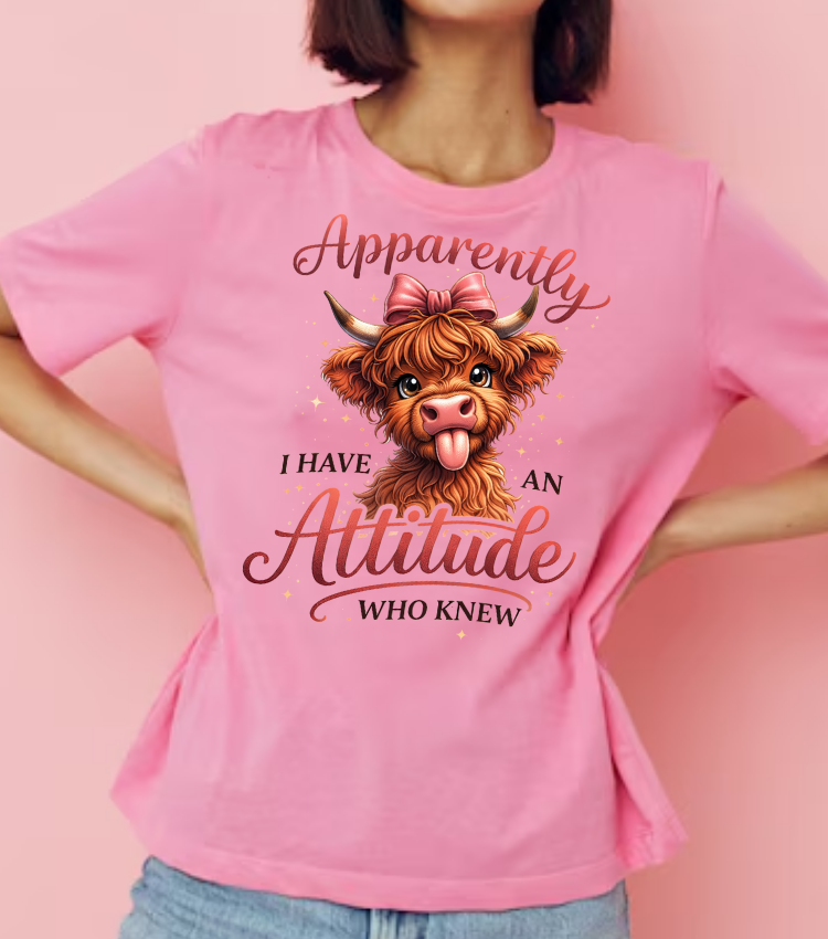 Apparently I Have An Attitude