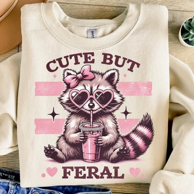Cute But Feral Racoon