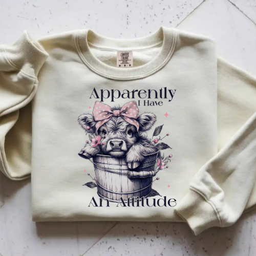 Apparently I Have an Attitude