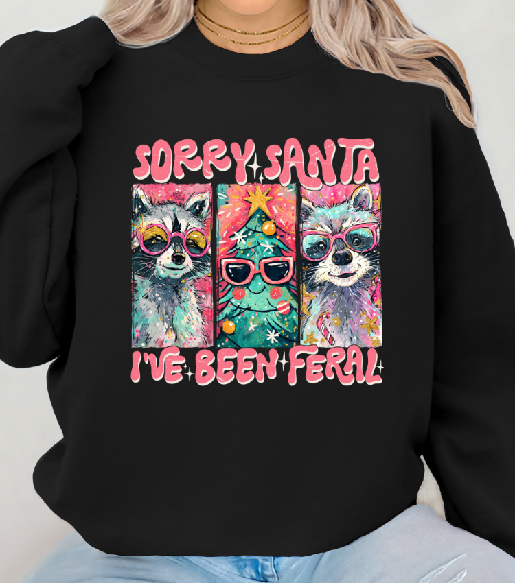 Sorry Santa